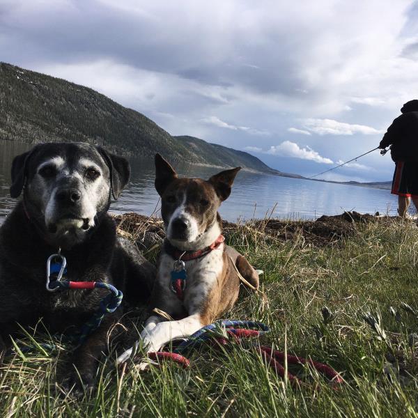 /Images/uploads/Humane Society of Utah/HSUCalendar/entries/1624thumb.jpg